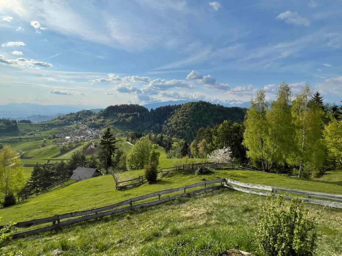 Mountain View Cottage Kamnik Exterior photo