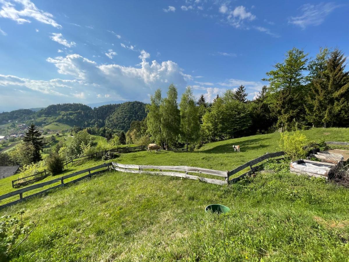 Mountain View Cottage Kamnik Exterior photo