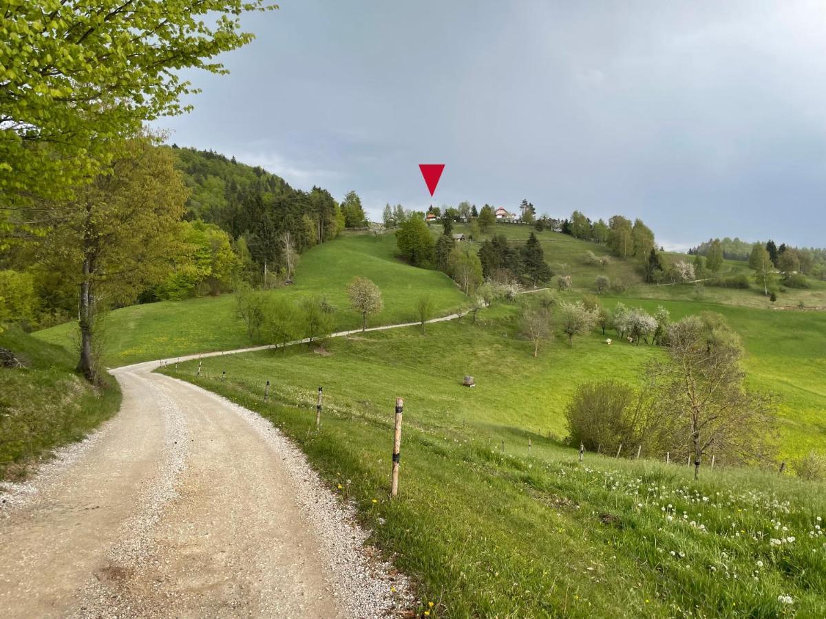 Mountain View Cottage Kamnik Exterior photo